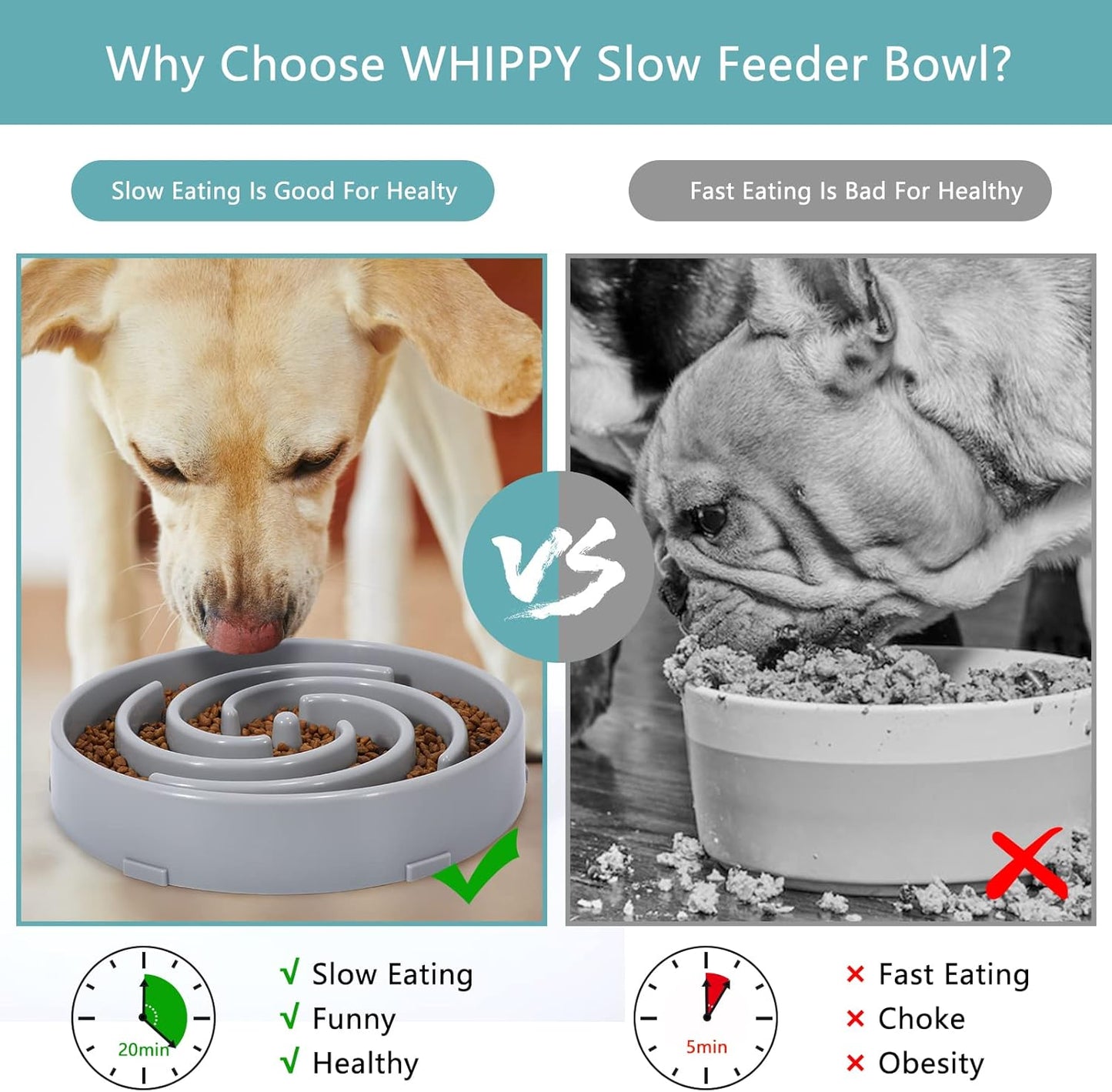 Tail & Whisker™ Slow Feed Bowl