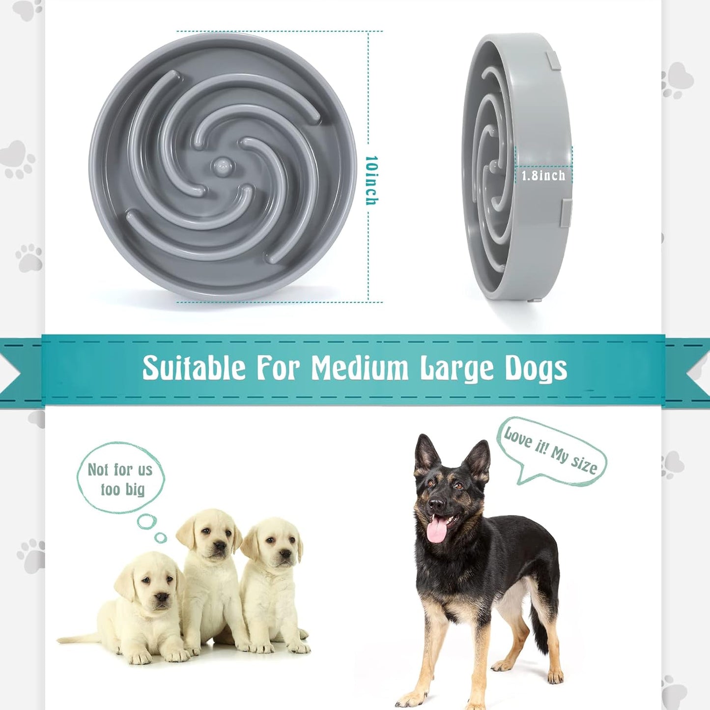 Tail & Whisker™ Slow Feed Bowl