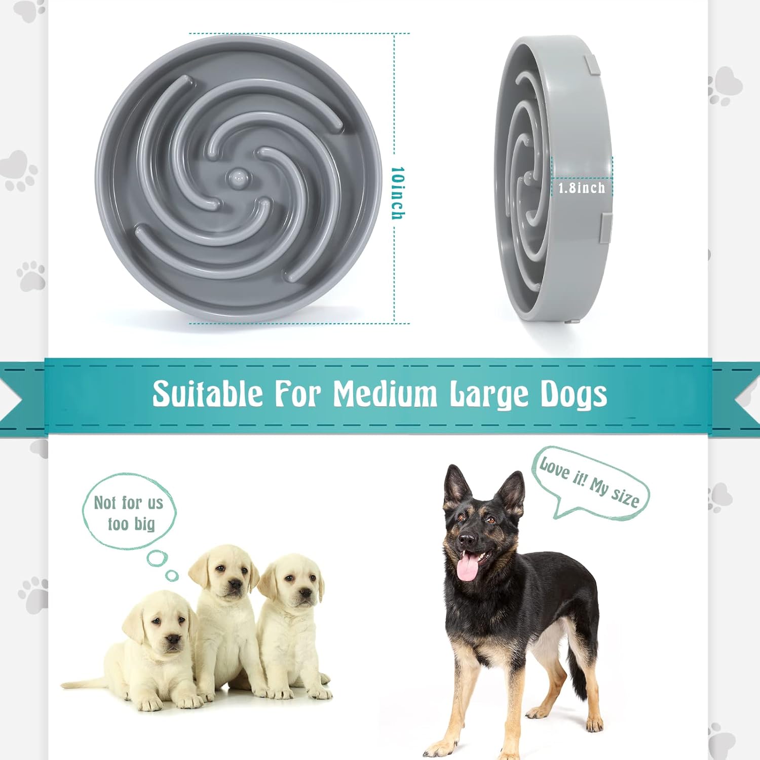 Tail & Whisker™ Slow Feed Bowl