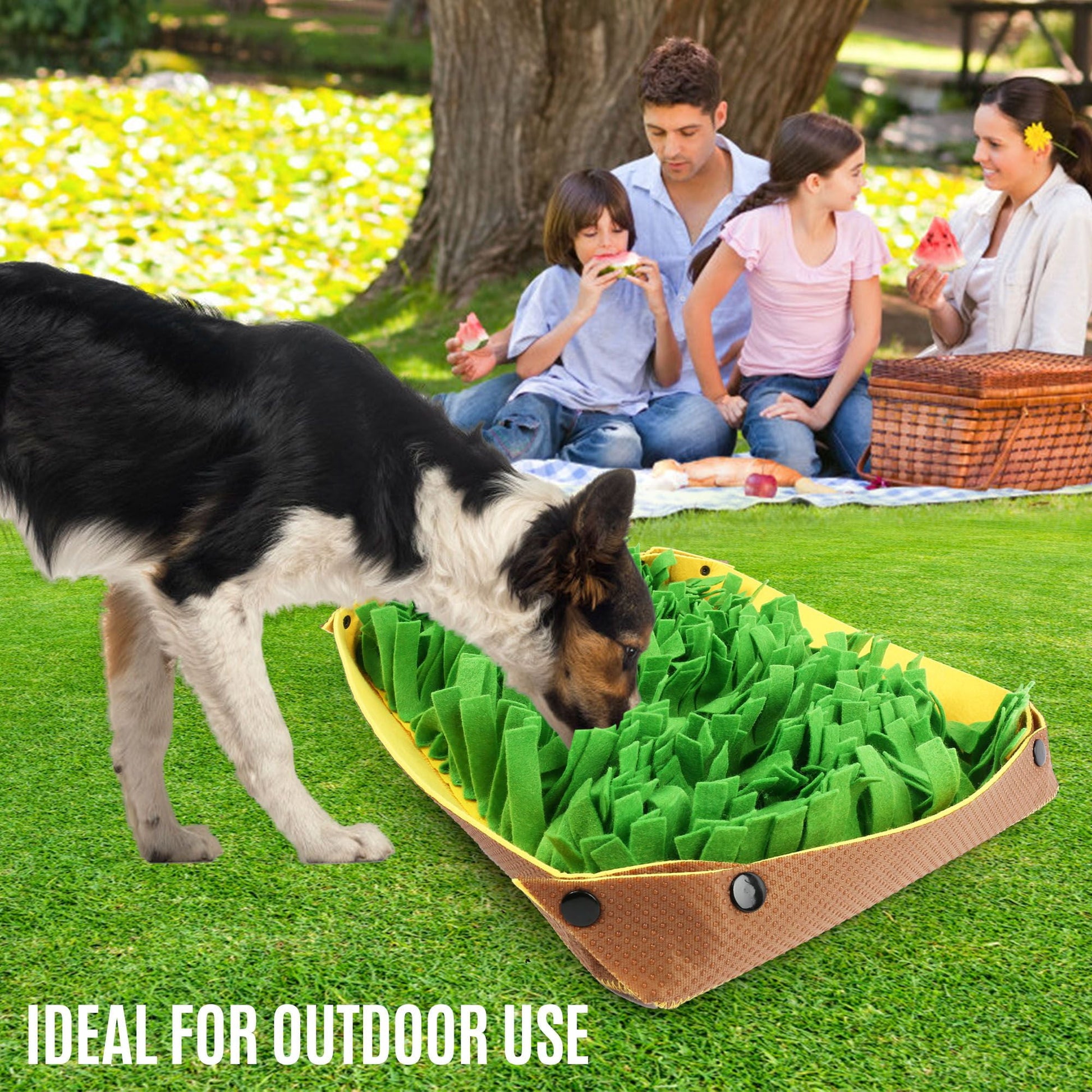 Tail & Whisker™ Sniff & Settle™ Enrichment Mat